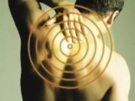 Advanced LifeWave Training: Muscle-Organ Connections