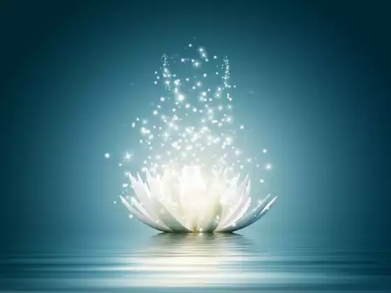 Priming Your Energy One Cell at A Time