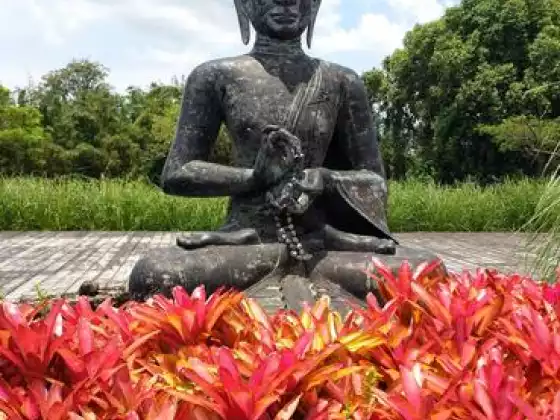 Introduction to Meditation Class