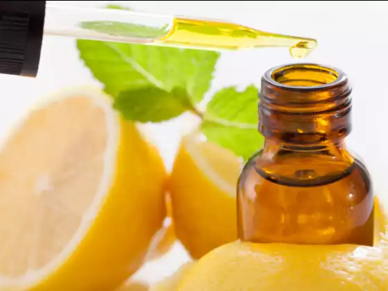 Healing with Essential Oils