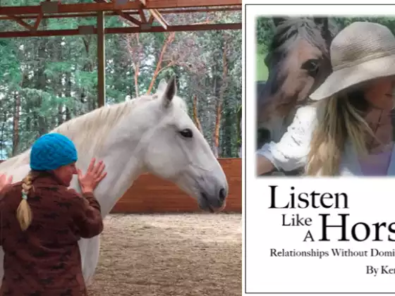 Sensory Awareness...with help from the Animal Kingdom