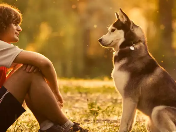 Introduction to Animal Communication