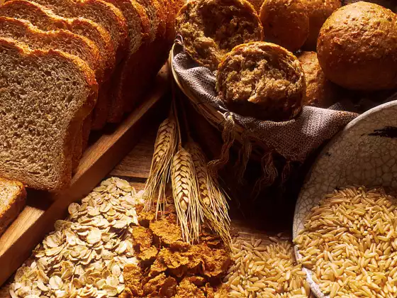 Let's Talk About Grains!