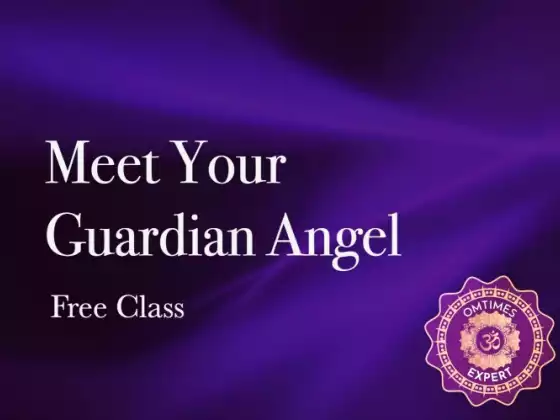 Meet Your Guardian Angel