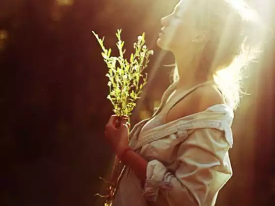 Motherwort: Mind-Body Medicine for Mothers