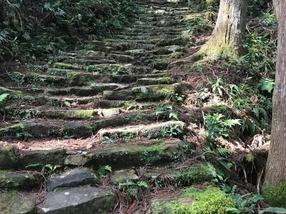 Core Breath Meditation