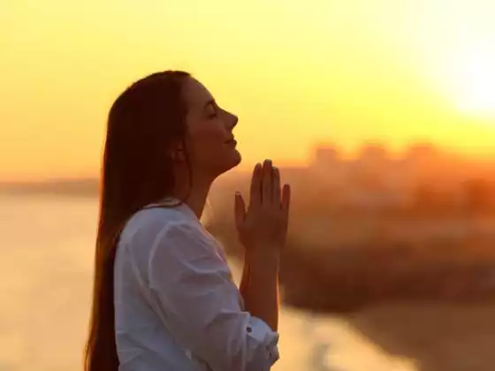 Gratitude: Despite it All