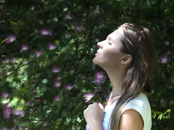 Breathwork for Vitality