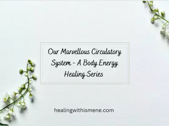 Il nostro meraviglioso sistema circolatorio: una serie di cure energetiche per il corpo
