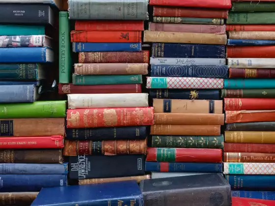 Lumi Book Club