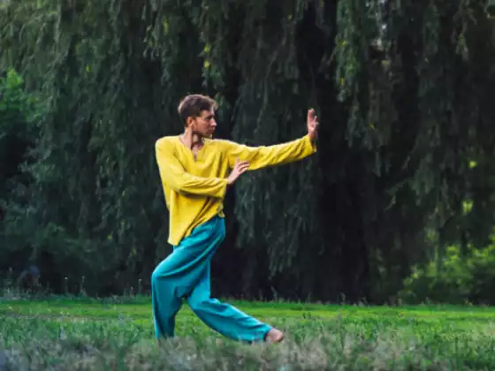 Qigong suave