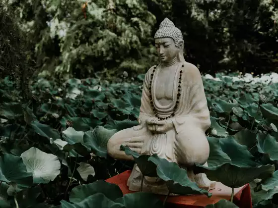 Cercle de chant du Bouddha de la médecine