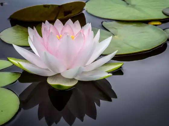 Reiki-Meditation: Du bist ganz, perfekt und vollständig