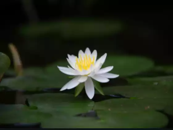 K-A-R-M-A - learn to Master your Karma and Master your Life