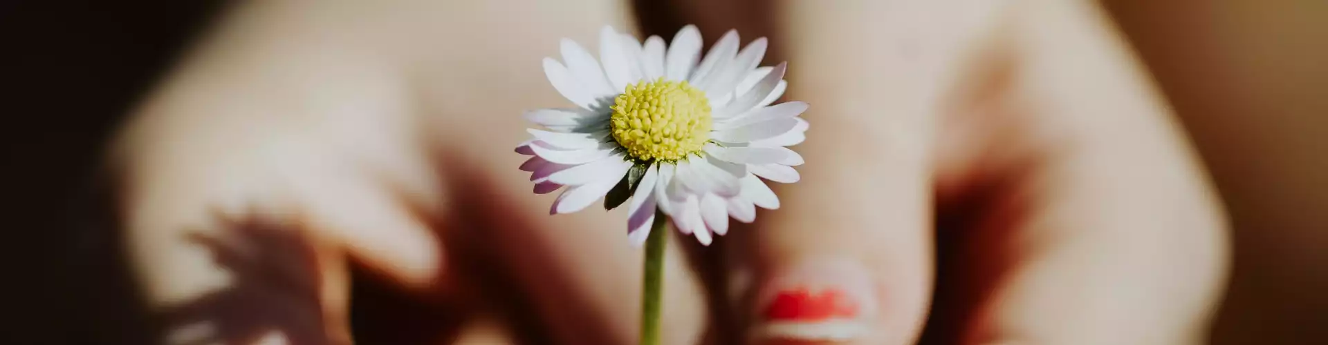 Groupe de soutien des guérisseurs Reiki - Online Class by Jamie Butler