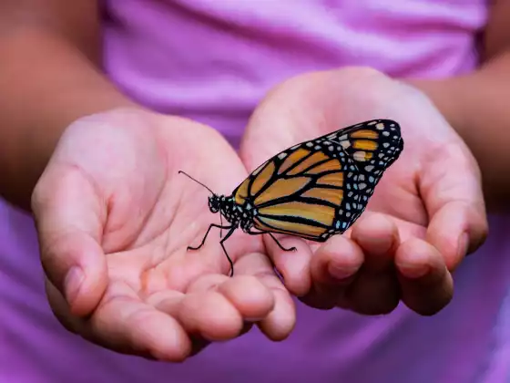 Psychic Hits and Healing Tips for November 2022