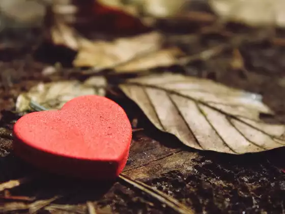 LABORATORIO DE GRATITUD y otras formas de aumentar tu felicidad