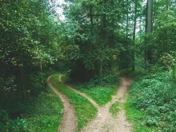 How To Make The Right Decision