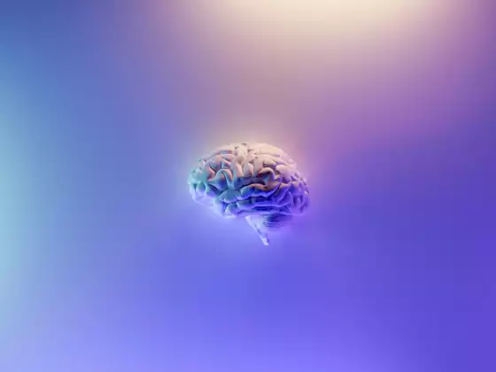 CAMBIO CEREBRAL – Superando las batallas internas