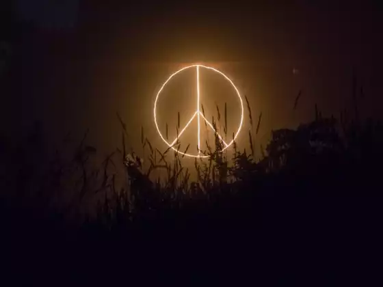 Llama 4 Paz