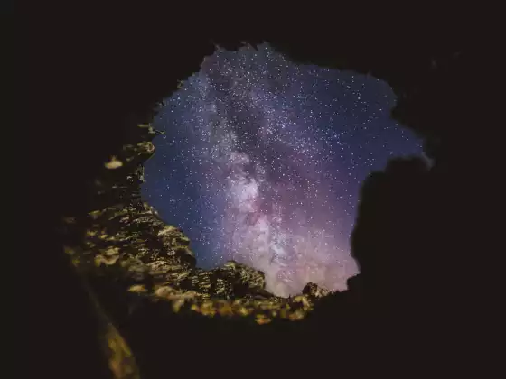 Shamanism 101- Meet a Spirit Animal