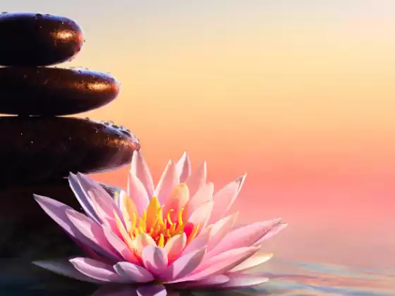 Guided Meditations and Healing Practices for a Successful September 2022