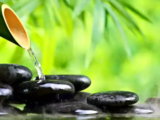 Une introduction au Qi Gong