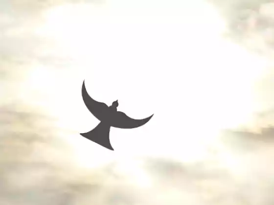 Spiritualité "Le chaînon manquant du bien-être mental"