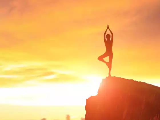 Restorative Healing Yoga: Summer Solstice Special (Chair Yoga)