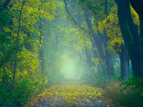 Ayurveda and Managing the HEAT of the Summer Season