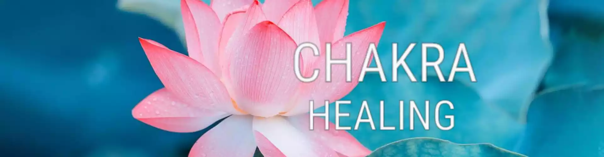 Bundle: আপনার চক্রের সিরিজ সব 8 ক্লাস নিরাময় - Online Course by Learn It Live