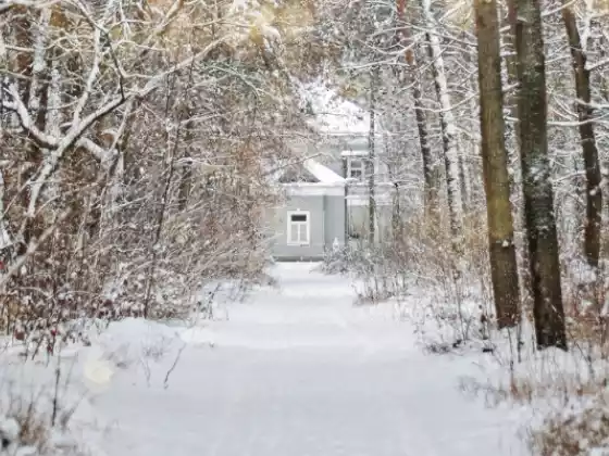 Cerimônia de Cura Energética do Solstício de Inverno