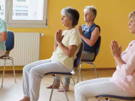 Seated Surya: Chair Yoga Sun Salutations Workshop (σειρά 3 μερών)