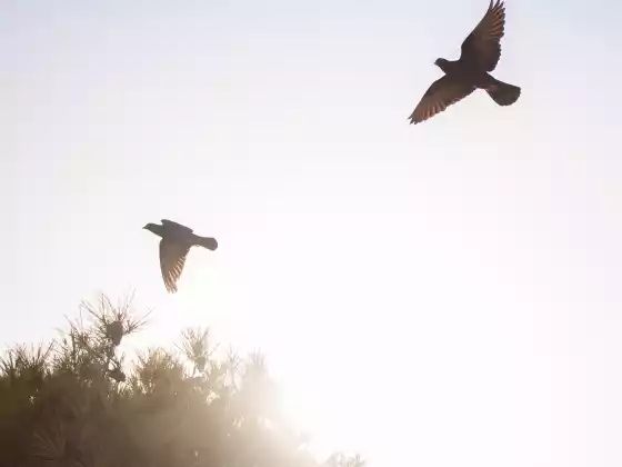 Building a Relationship with Loved Ones in Spirit Series-Autumn 2024-Part 2