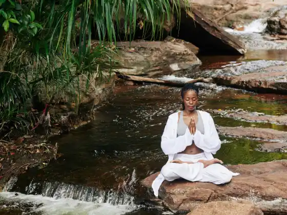 Cổng Gassho: Thiền tập trung vào trái tim dành cho người tập Reiki
