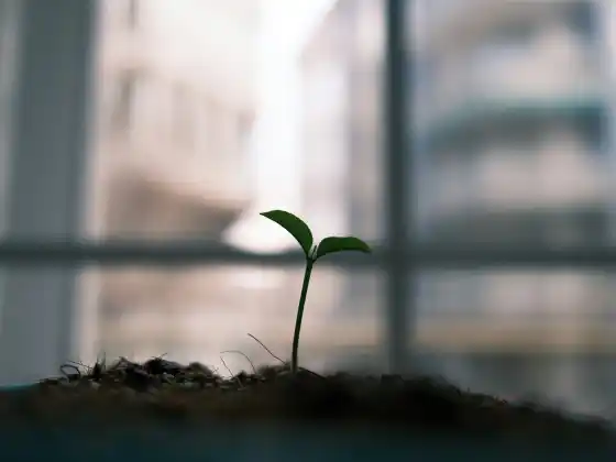 能量疗愈如何成为物理网络研讨会 3