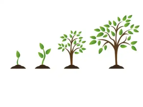 Deepen your Consciousness: Life Between Incarnation and Reincarnation