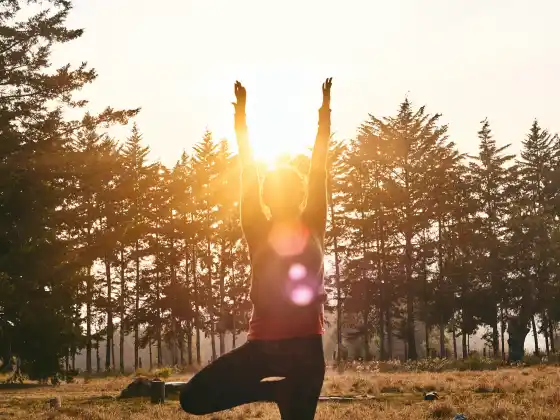 Energy Healing for Women's Health and Q&A with Hippocrates 