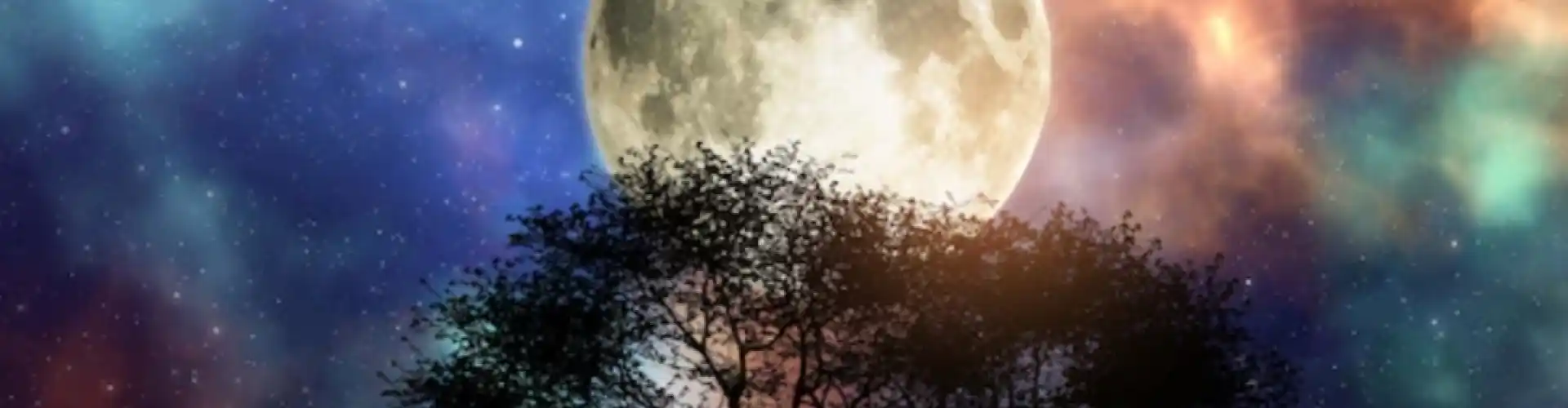 Full Moon Chakra Meditation - Online Class by Cassaundra Paolini