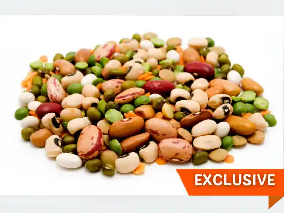 Easy Peas-y – Lentil, Peas, Pods dan Banyak Lagi
