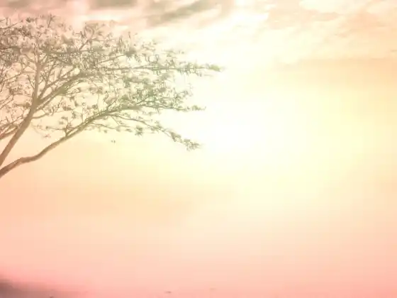 Spring Into Soul: Isang Mind-Body-Spirit Symposium