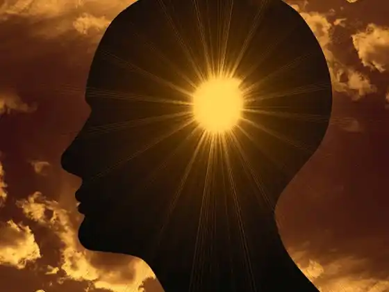 Supporting a Healthy Brain