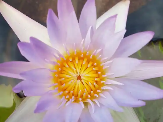 The Chakra Journey Class Twelve ~ Your Trust Chakra