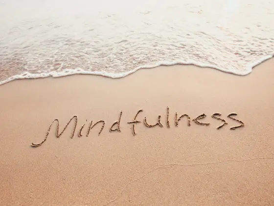 Mindfulness Series