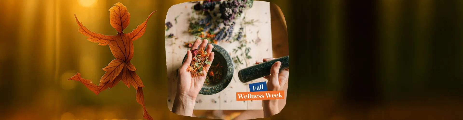 Herbal First Aid at Home - Online Class by Melanie Cardwell